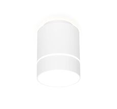 Накладной светильник Ambrella light Techno TN256_AMB