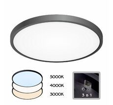 Настенно-потолочный светильник CitiLux Бейсик CL738321V