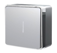 Выключатель одноклавишный с подсветкой Gallant (серебряный) a052766_WR