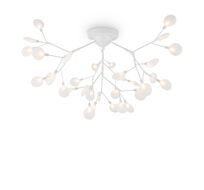 Потолочная люстра Freya Florencia FR5049CL-36W1_MY