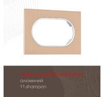 Рамка из алюминия для двойной розетки Arte Milano 502.11-double.shampan