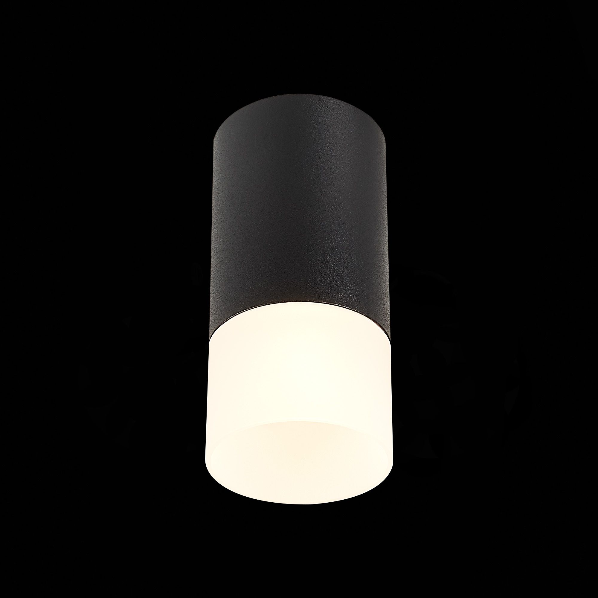 Потолочный светильник ST Luce ST100 ST100.412.01