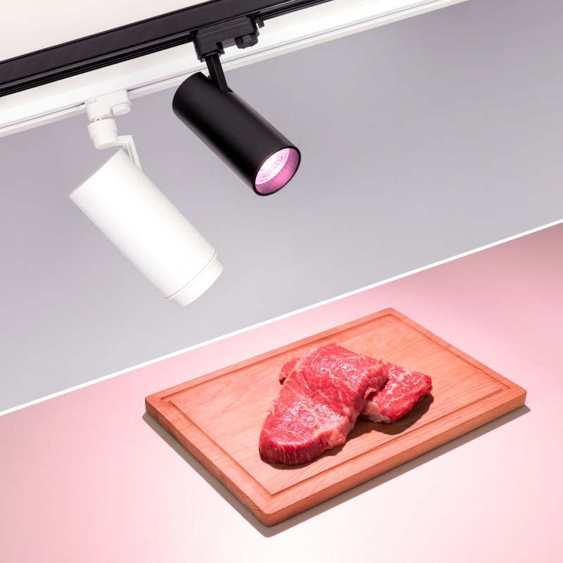 Светильник на шине Arlight GERA ZEUS 029980_ARL