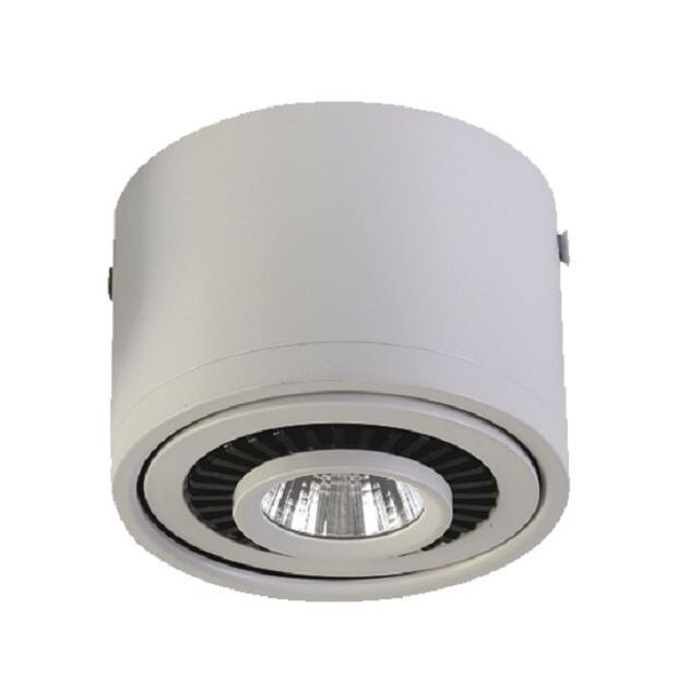 Потолочный светильник Favourite 1776-1C