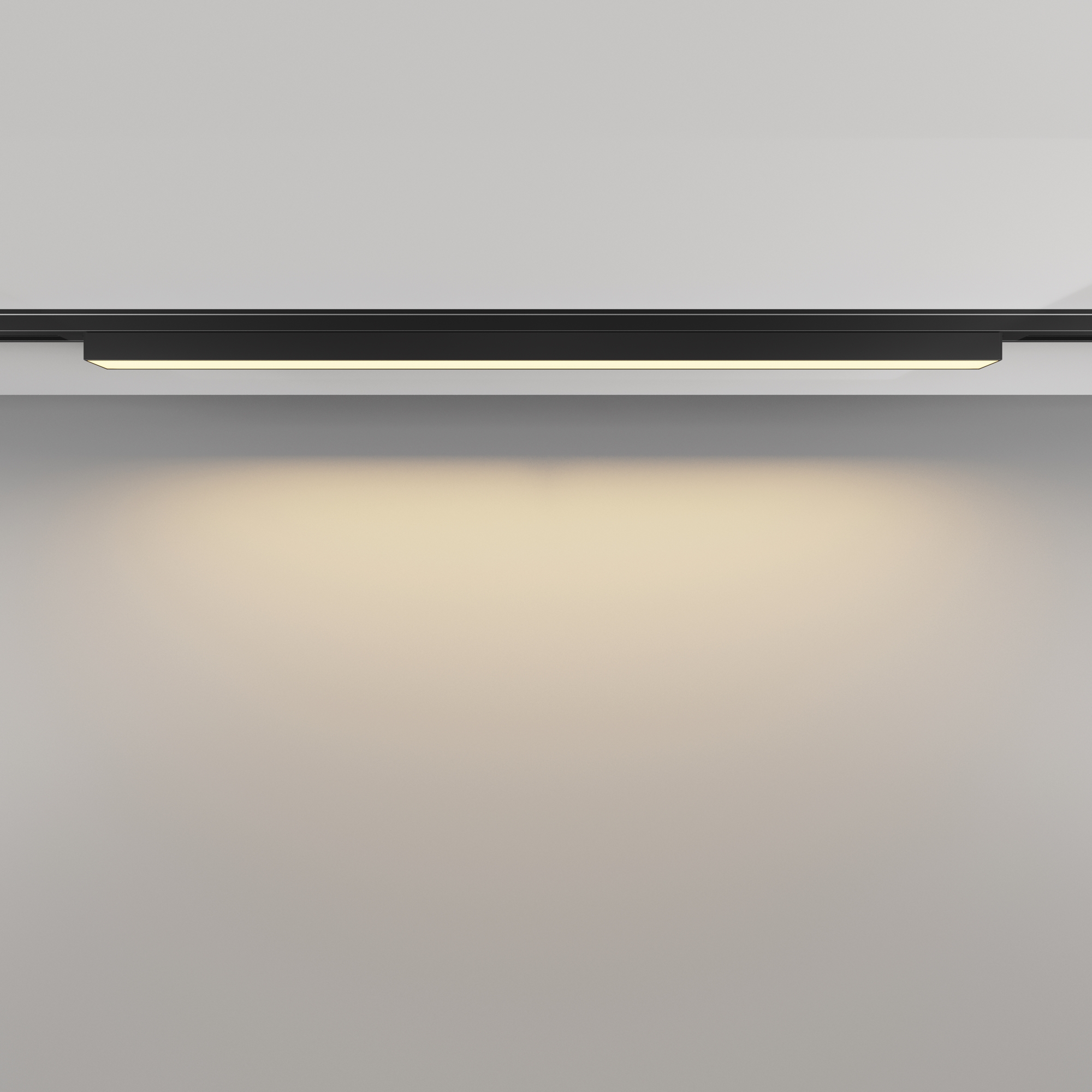 Трековый светильник Maytoni Basis TR192-1-16W2.7K-B_MY