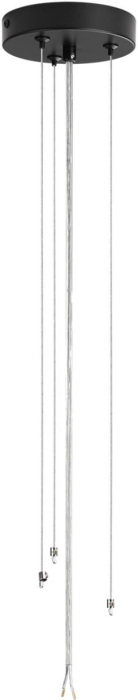 Потолочный светильник Lumion ANIMAISA 8003/6C