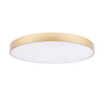 Потолочный светильник LOFT IT Flims 10228/B_LF