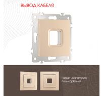 Вывод кабеля Arte Milano 206.49-1.shampan