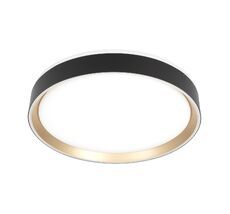 Потолочный светильник Citilux BOSS CL751351G