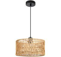 Подвесной светильник Arte Lamp Brushwood A7088SP-1BK