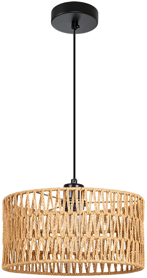 Подвесной светильник Arte Lamp Brushwood A7088SP-1BK