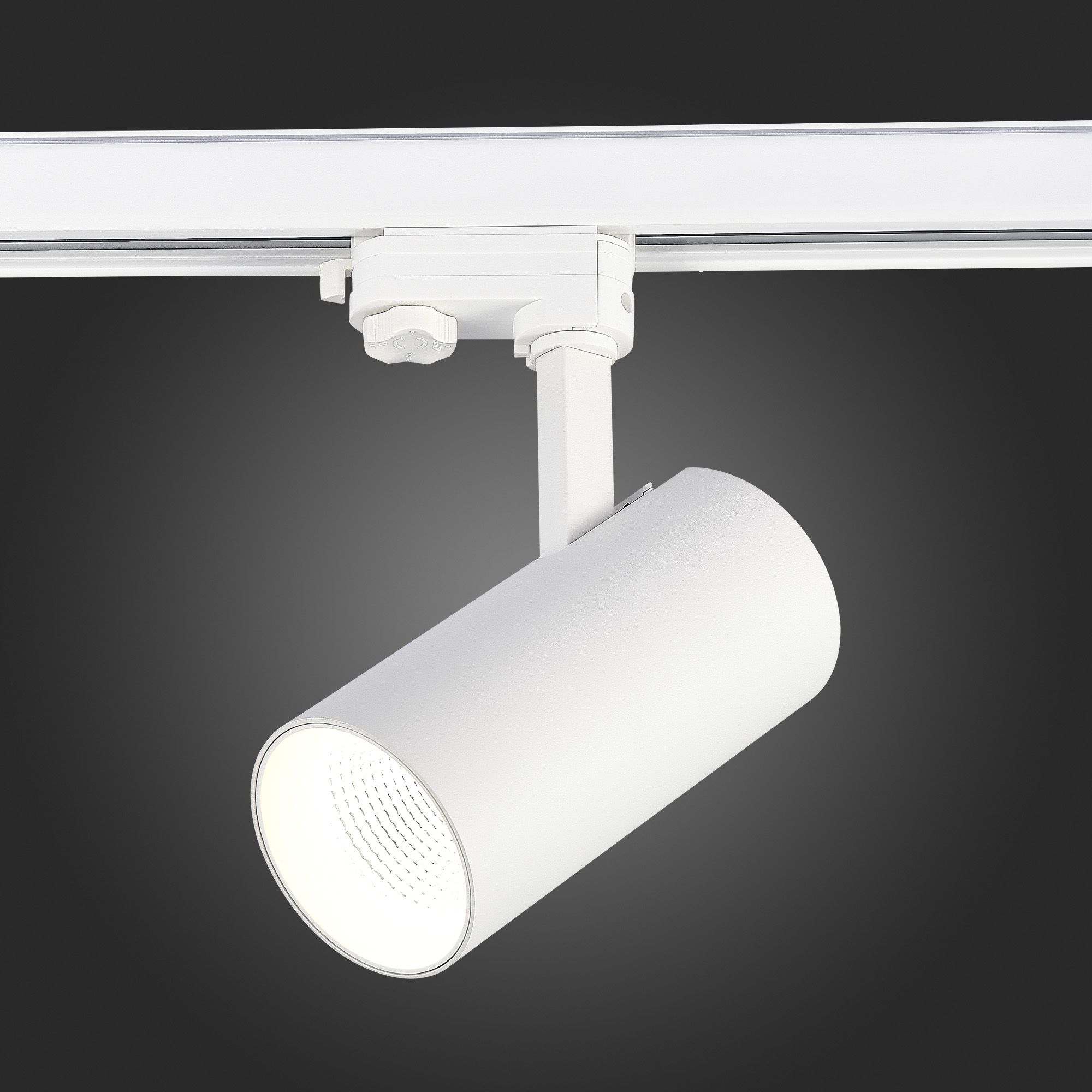 Трековый светильник трехфазный ST LUCE Functional ST661.536.30