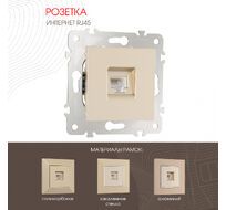 Розетка интернет RJ45 Arte Milano 203.45-1.shampan