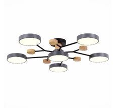 Потолочная люстра Evoluce FAEMA SLE6006-702-06