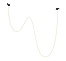 Трековый подвесной светильник Maytoni Tau TR101-2-100W4K-B_MY