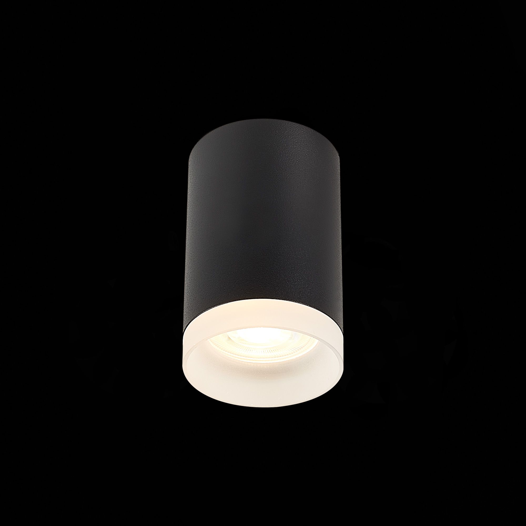 Потолочный светильник ST Luce ST100 ST100.402.01