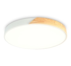 Потолочный светодиодный светильник Ambrella Light ORBITAL Design FZ1301_AMB