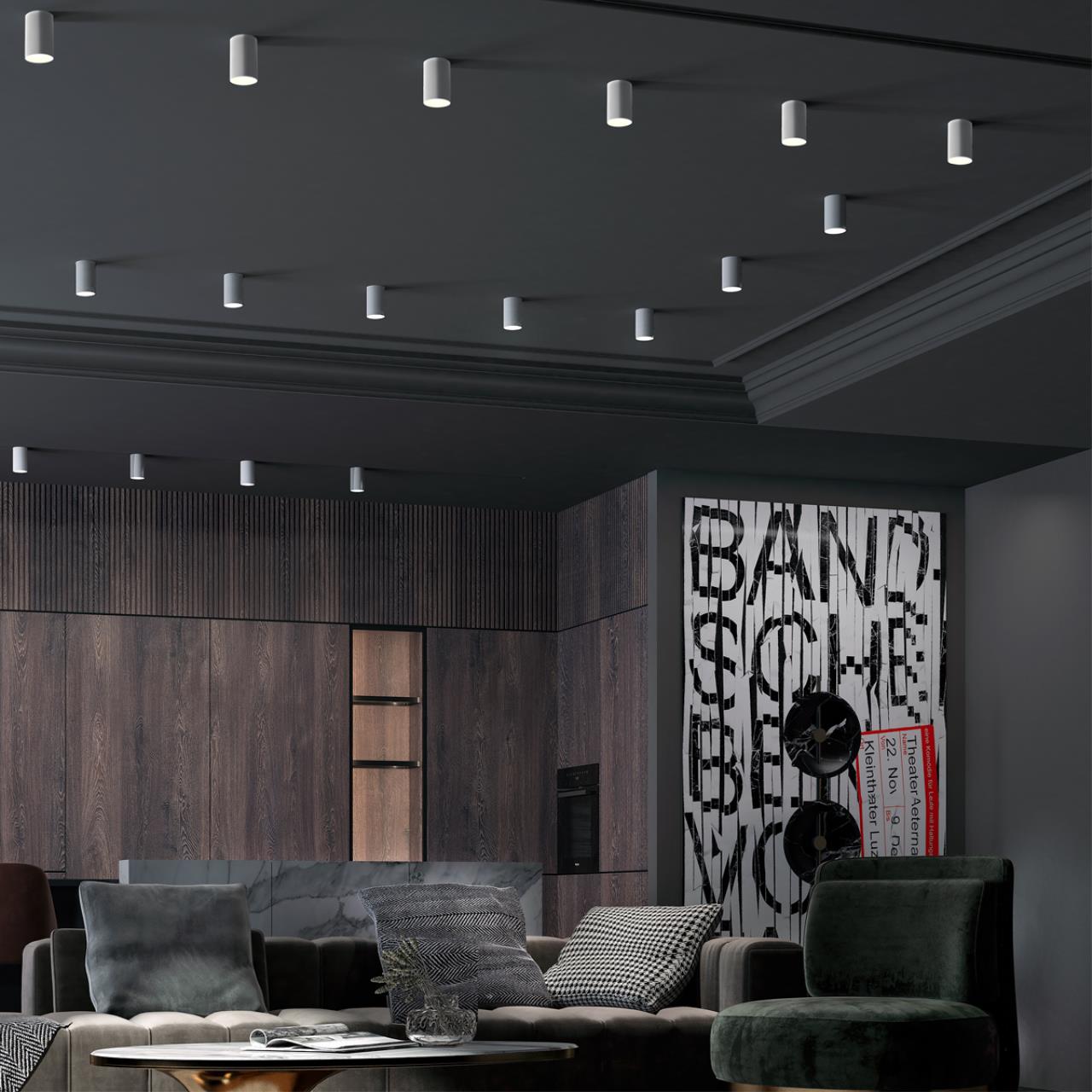 Потолочный светильник Novotech накладной ELINA 370726