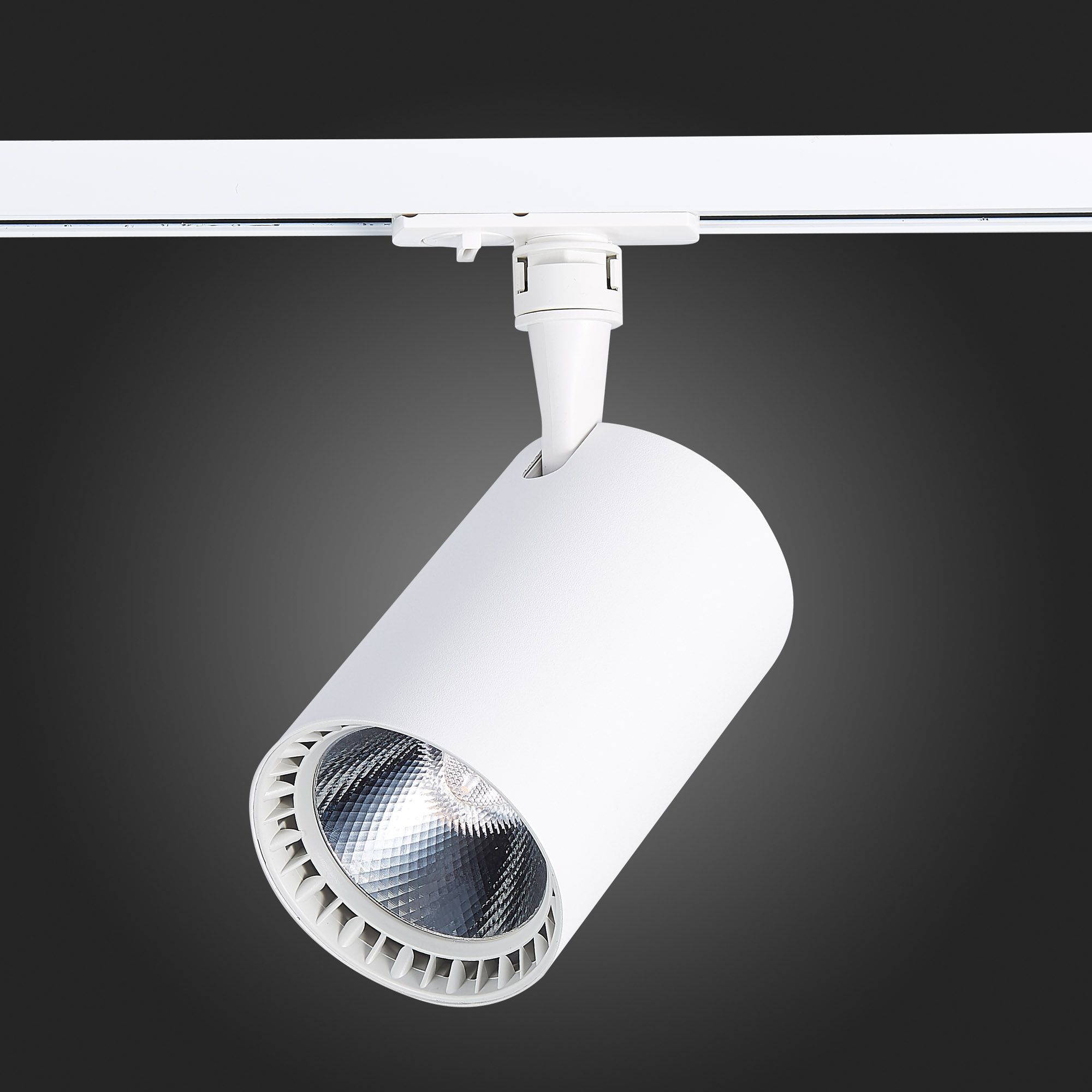 Трековый светильник ST Luce однофазный CAMI ST351.546.30.36