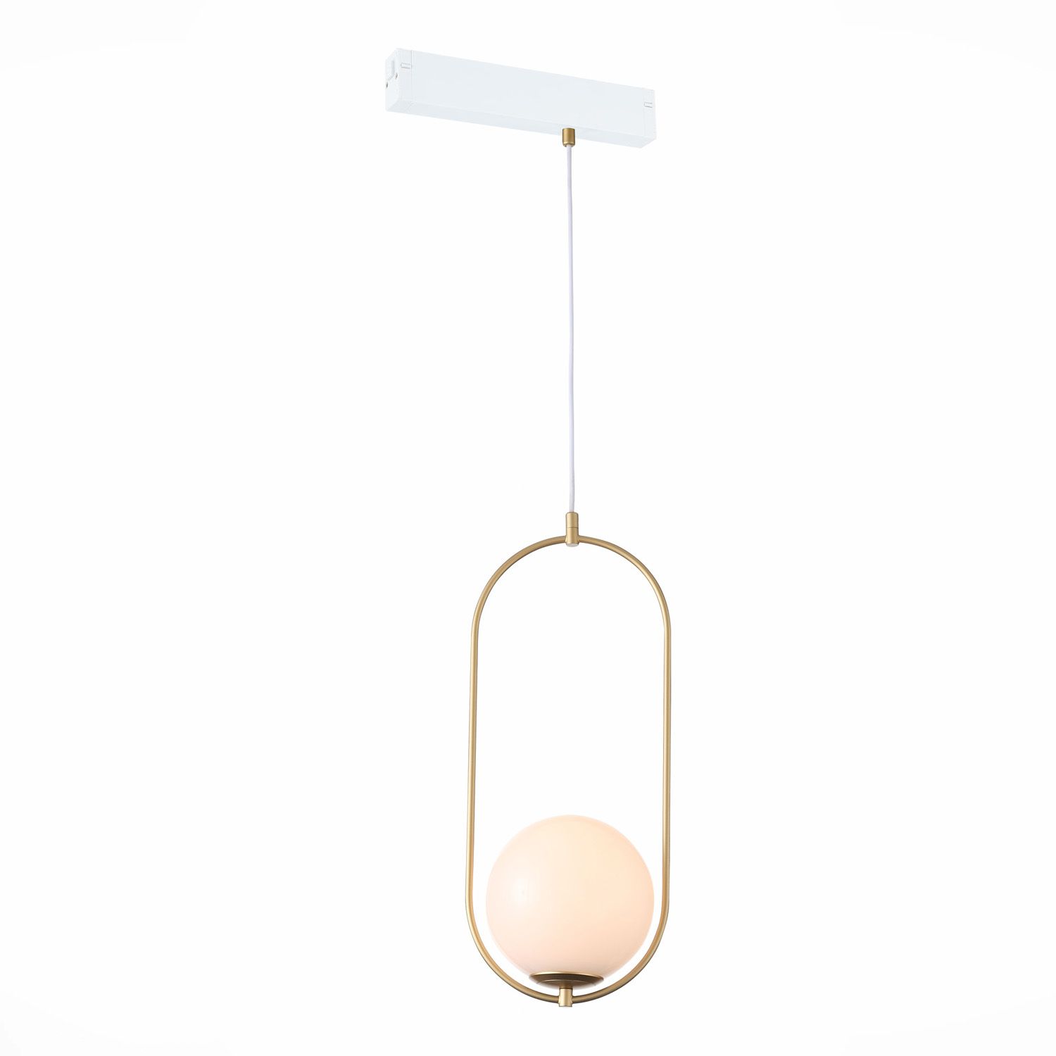 Трековый светильник ST LUCE SKYLINE 220 ST500.203.01