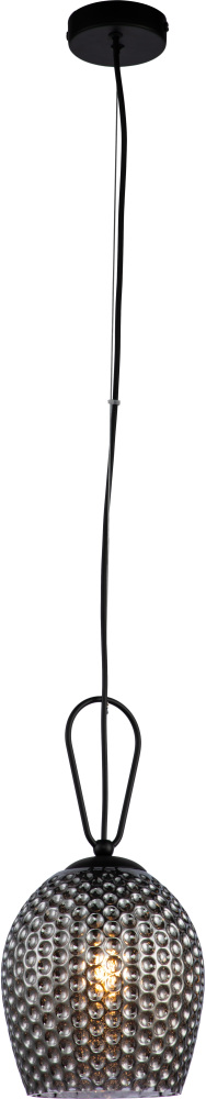Подвесной светильник (11001/1P Black) Indigo V000085