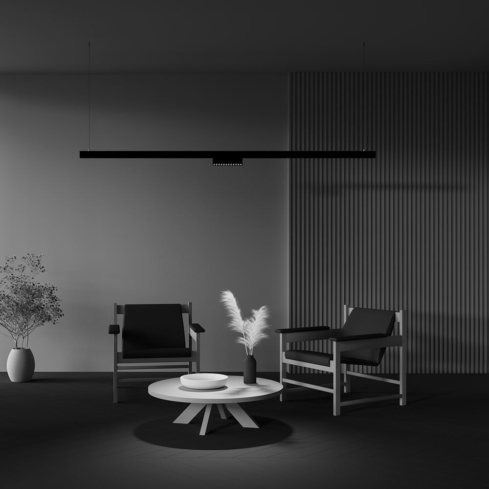 Трековый светильник Maytoni Points rot TR033-2-12W2.7K-B_MY