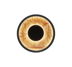 Настенный светильник Favourite Tallar 4445-1W