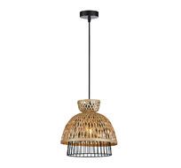 Подвесной светильник Arte Lamp WOODSTOCK A7070SP-1BK