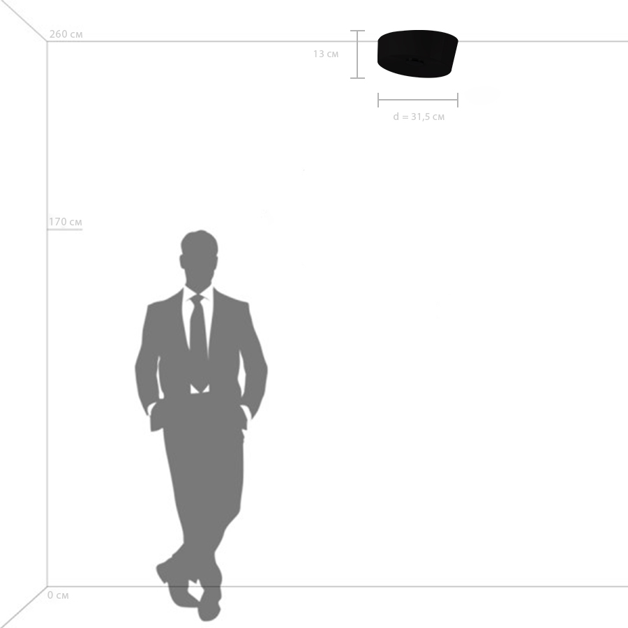 Потолочный светильник Lightstar Celesta 809356_LS