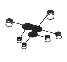 Потолочный светильник Arte Lamp LEGACY A8024PL-6BK