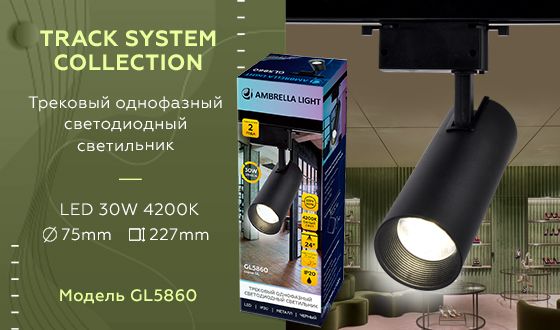 Трековый однофазный светодиодный светильник Ambrella light GL GL5860_AMB