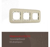 Рамка из поликарбоната на 3 поста Arte Milano 505.05-3.shampan