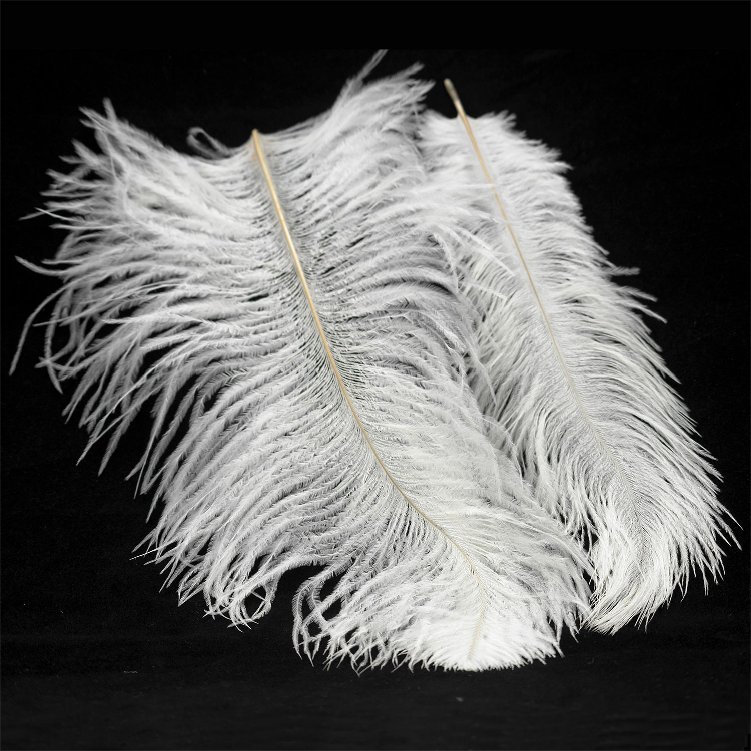 Потолочная люстра Lussole Cuscino GRLSP-8600