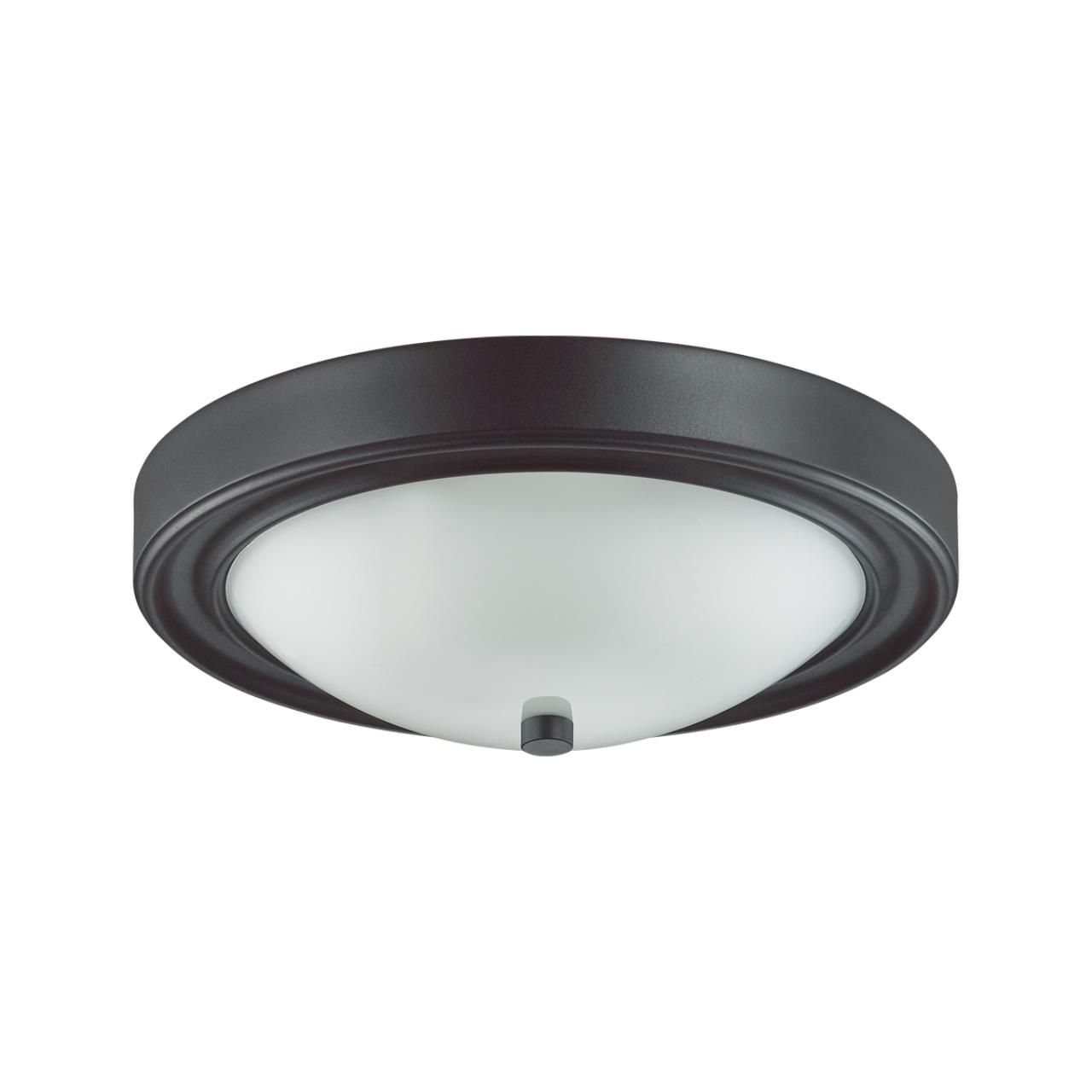 

Настенно-потолочные светильники Lumion, 5260/2C