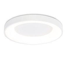 Потолочный светильник Ambrella Light ORBITAL Design FZ1401_AMB