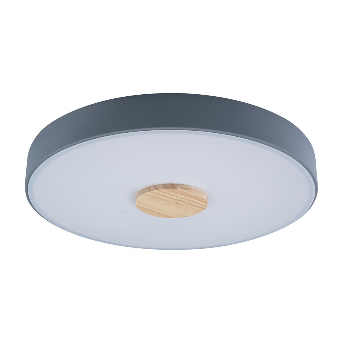 

Потолочный светильник Loft IT Axel 10003/24 Grey, 10003/24 Grey
