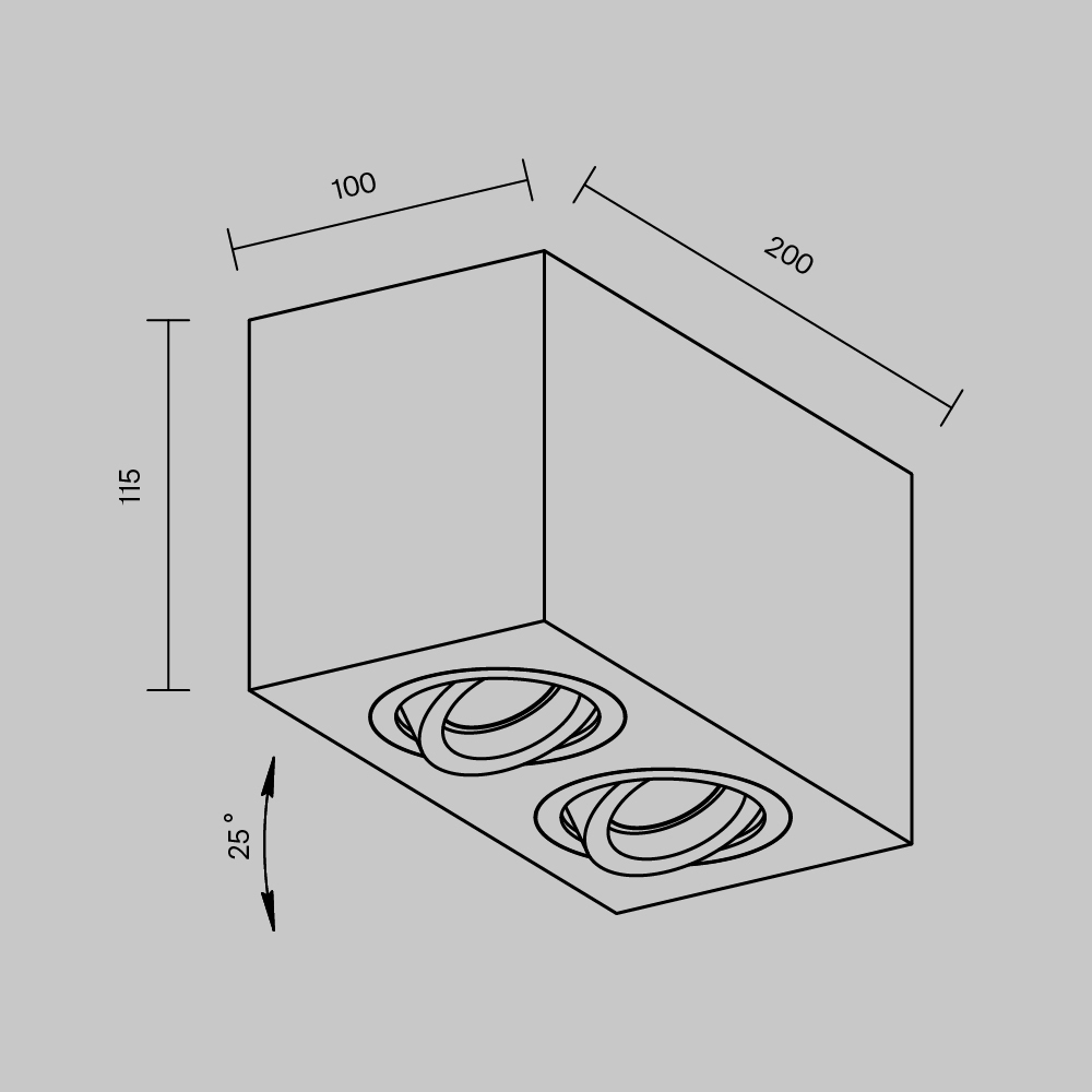 Потолочный светильник Maytoni Technical Atom C017CL-02W_MY