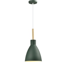 Подвесной светильник Moderli V11438-1P_MD