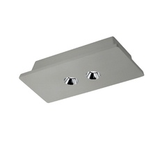 Накладной светильник Loft IT Architect OL1072-GH/2_LF