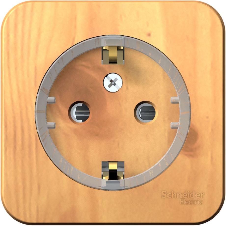 Розетка накладная с заземлением и шторками (ясень) Systeme Electric BLNRA111115