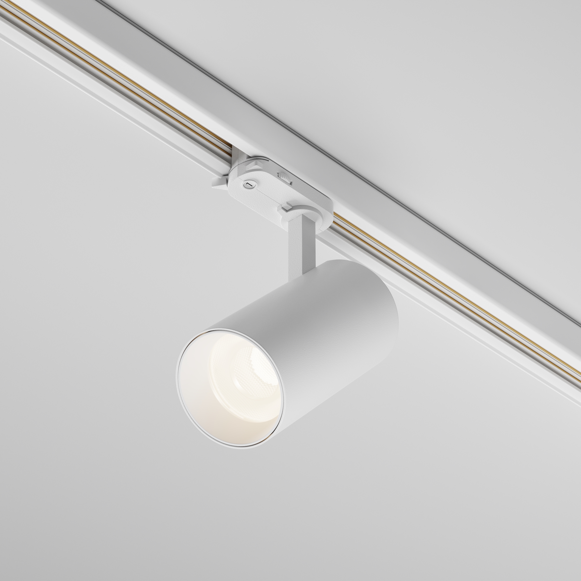 Трековый светильник трехфазный TRINITY Maytoni Focus Led TR197-3-20WCCT-M-W_MY