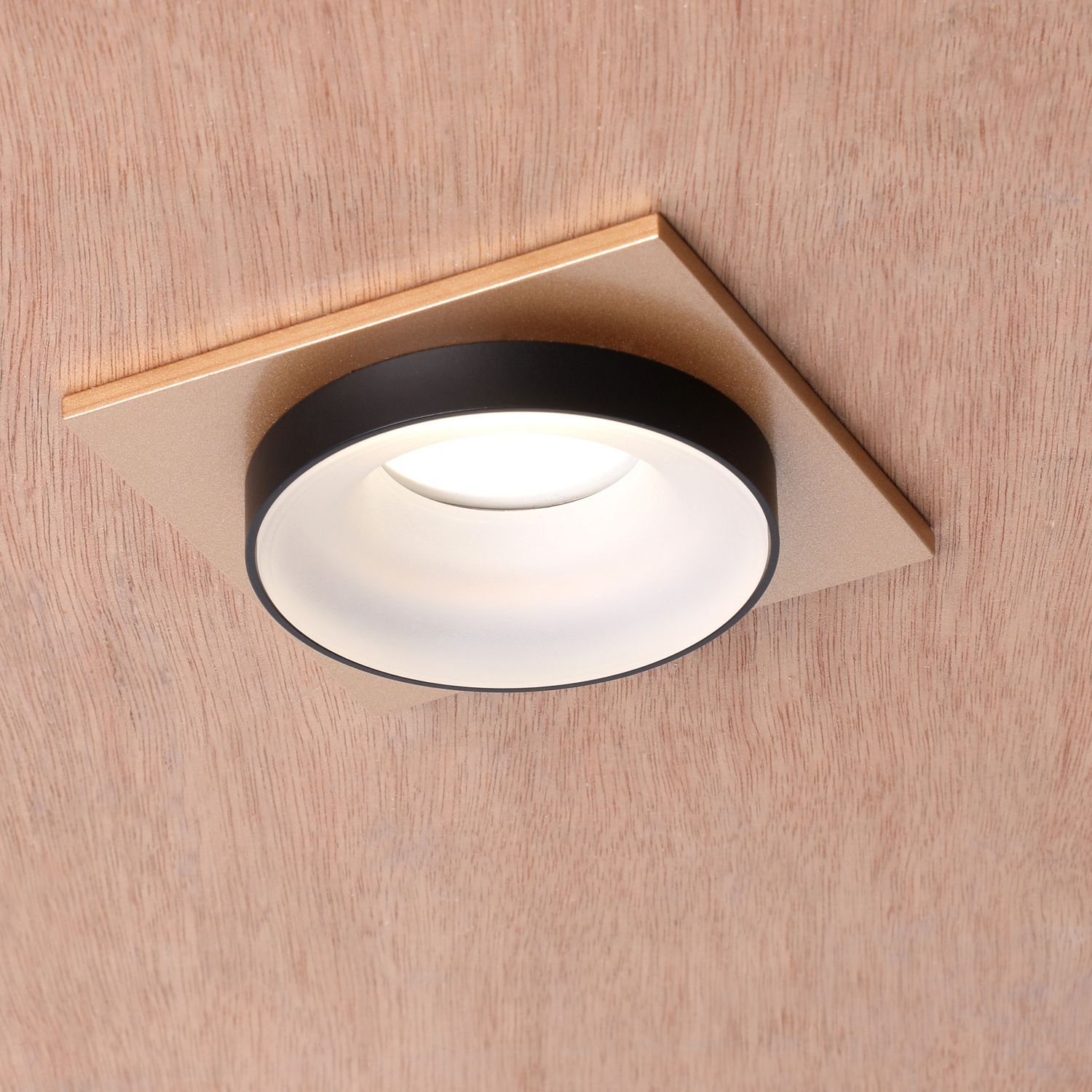 Встраиваемый светильник Favourite Врезной Diversa 2887-1C