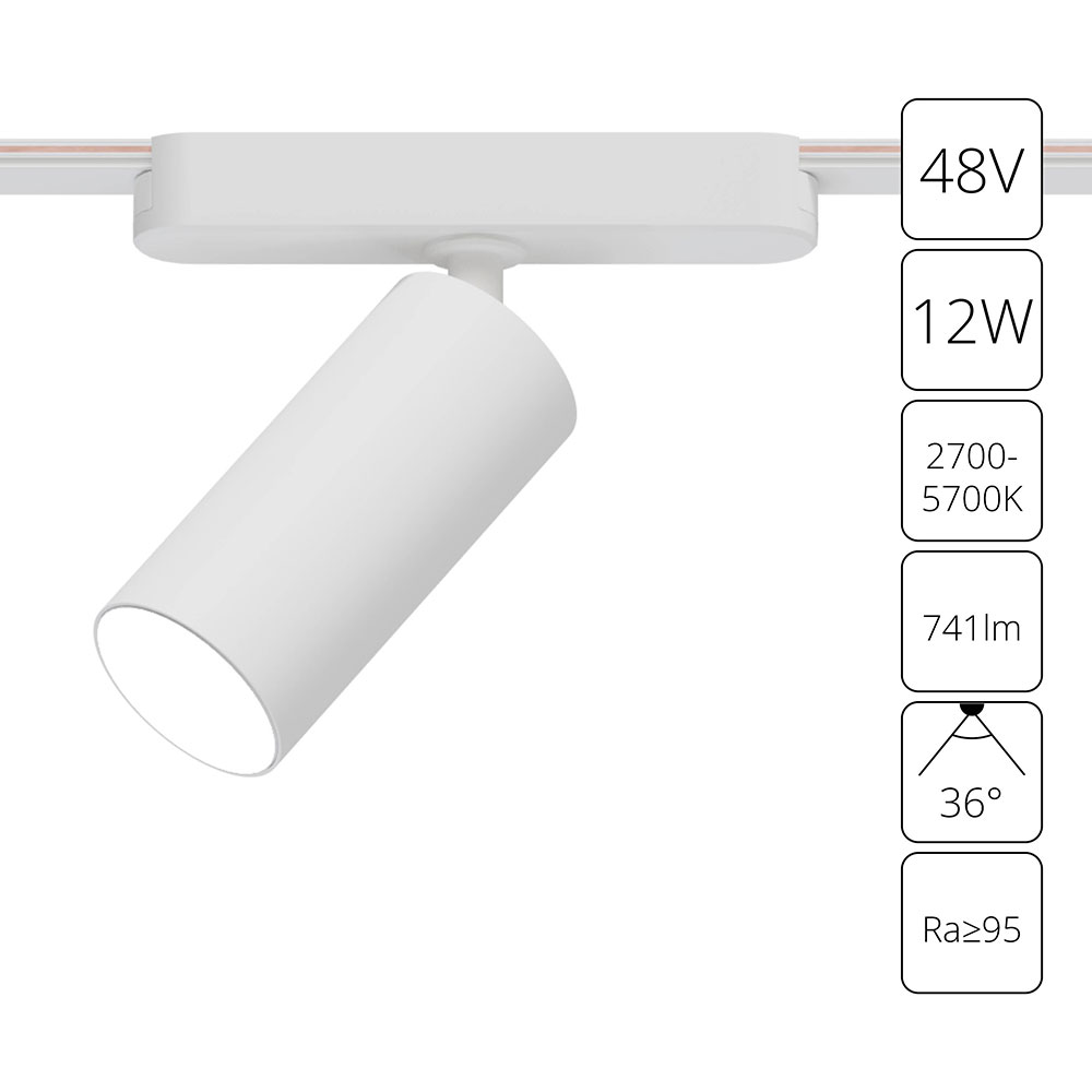 Трековый светильник Arte Lamp RAPID A2958PL-1WH