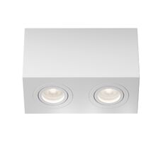 Потолочный светильник Maytoni Technical Atom C017CL-02W_MY