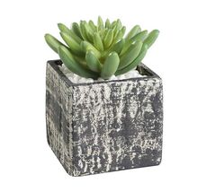 Искусственное растение в горшке Eglo Living CHITOSE 428007