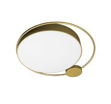 Потолочный светильник Loft IT Mike 10063_LF