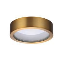Накладной светильник Odeon Light REUS 4342/7CL