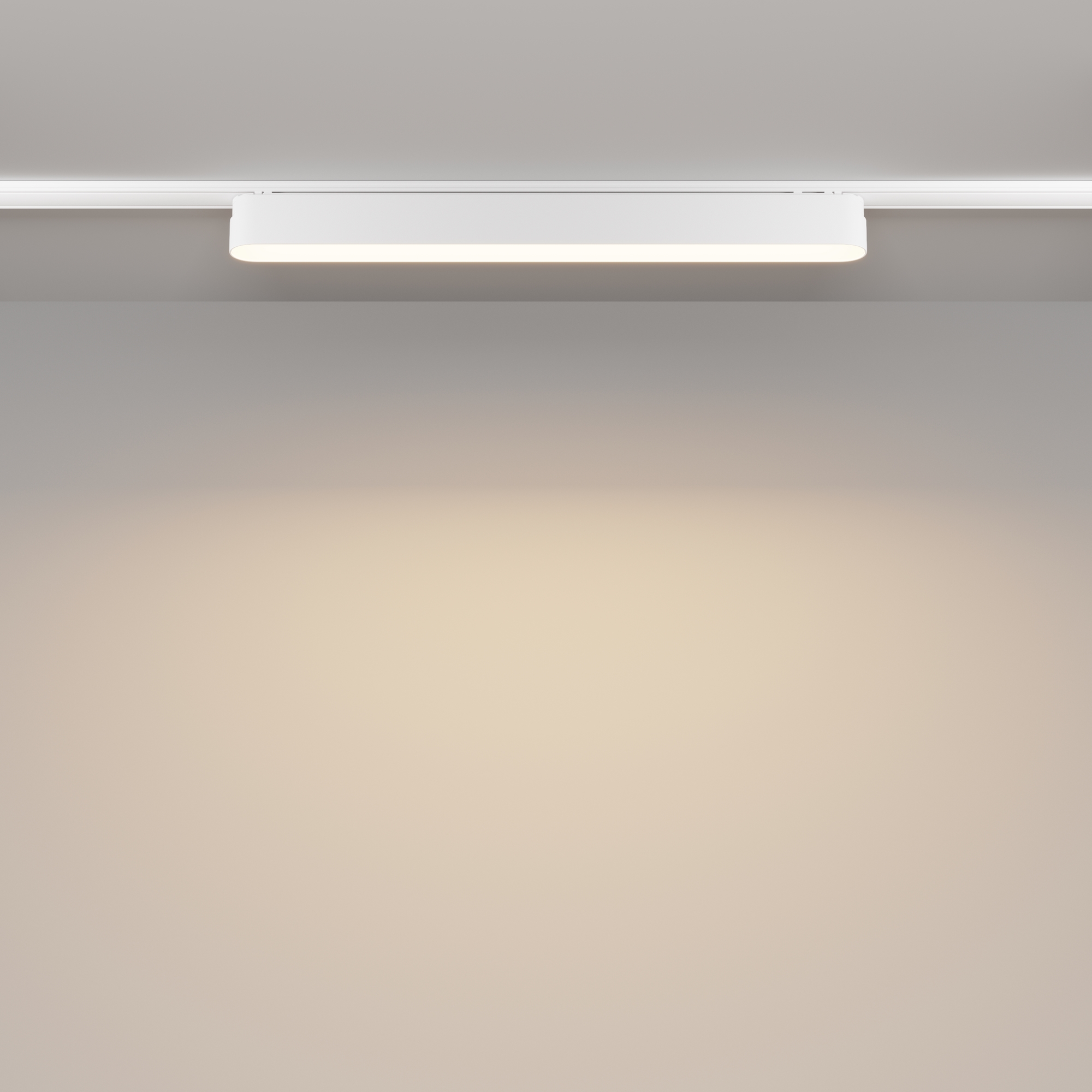 Трековый светильник Maytoni Basis TR080-1-18W3K-W_MY