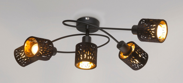 Спот Globo TROY 54121-5_GL