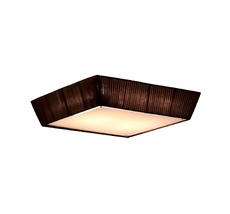 Потолочный светильник CitiLux CL914142 CL914142